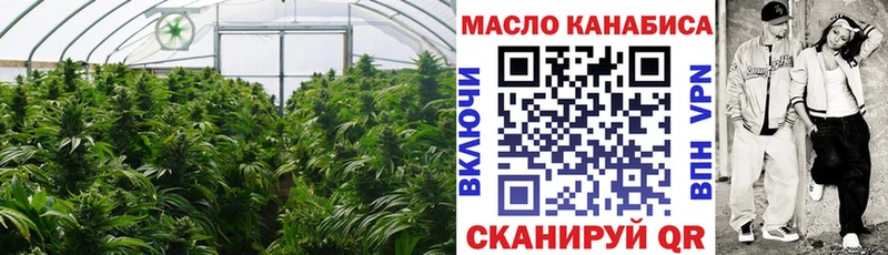 купить   Петровск-Забайкальский  ТГК вейп 