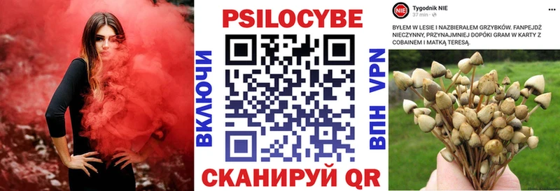 Галлюциногенные грибы ЛСД  Петровск-Забайкальский 