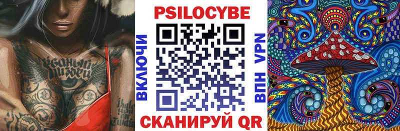 Псилоцибиновые грибы Psilocybine cubensis Петровск-Забайкальский